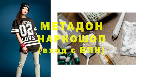 индика Аркадак