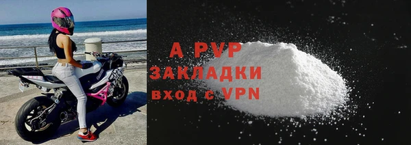 индика Аркадак