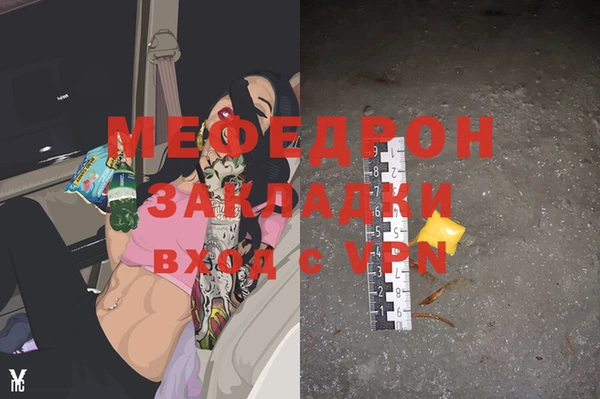 индика Аркадак