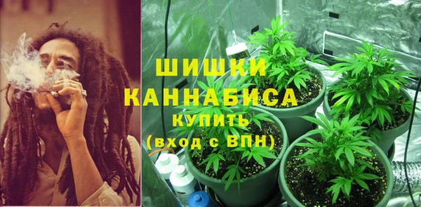 индика Аркадак
