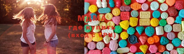 индика Аркадак